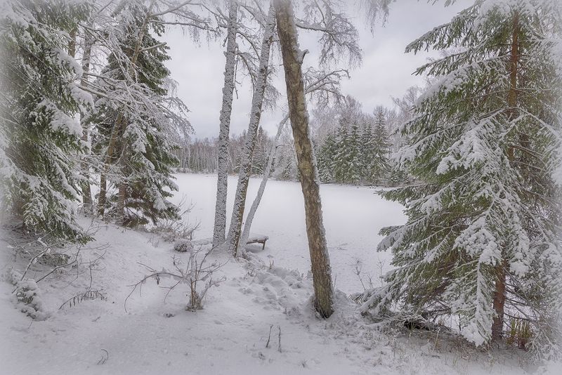 *** фото превью