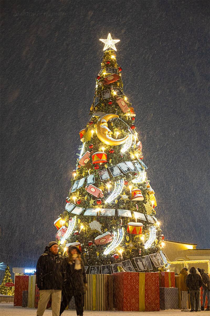 , Чудинин Дмитрий