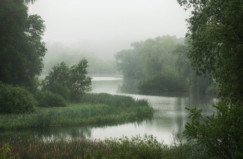 Хмурое утро с туманомphoto preview