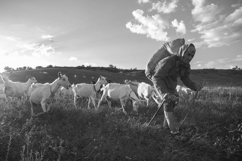 утро, в, деревне, бабушка, природа, небо Утро в деревнеphoto preview