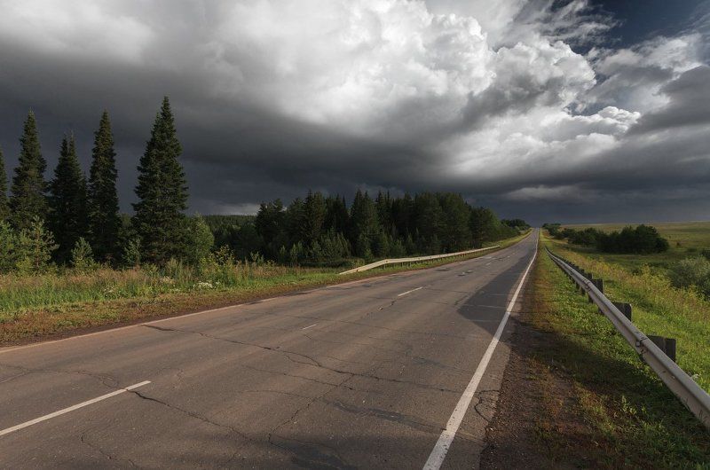 Дорога лес зелень тучи лето Дорогаphoto preview