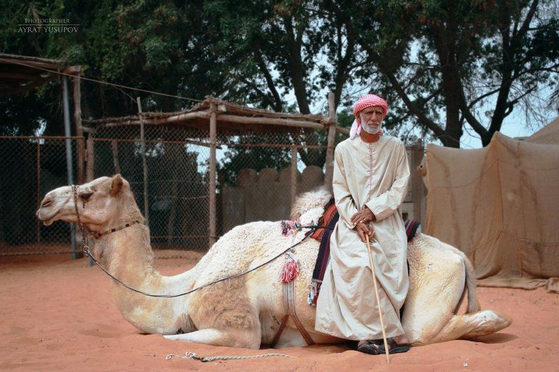 Аравия, пустыня, бедуин, женщины, восток, абая, верблюд, путешествие Аравийский триптихphoto preview