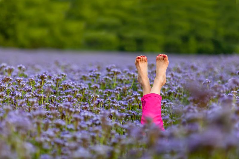 Лето, цветы, тепло, краски, радость Лето на подходеphoto preview