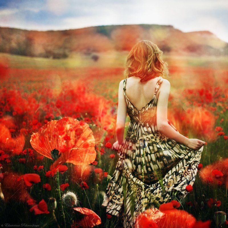 Крым маки весна цветочные историиphoto preview