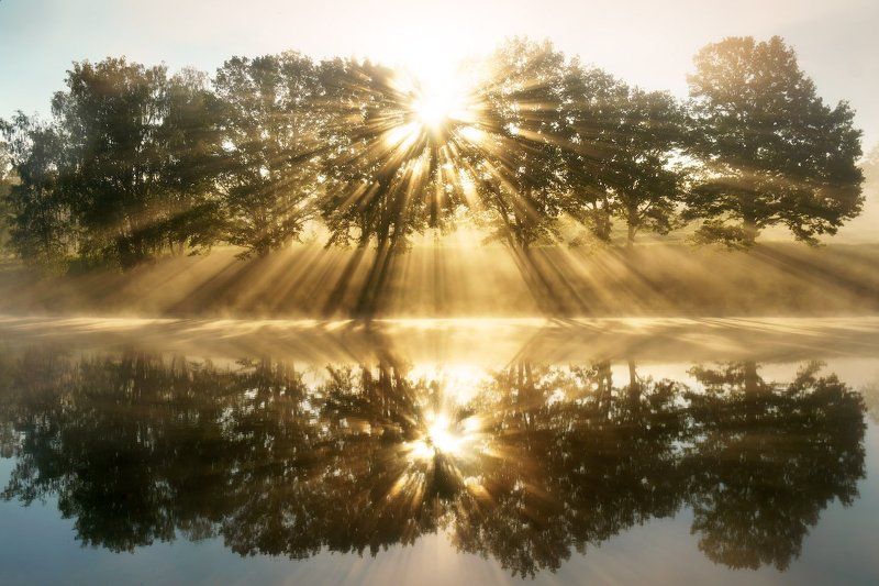 Лучи, Май, Пейзаж, Рассвет, Солнце, Туман, Утро Солнечный взрыв фото превью