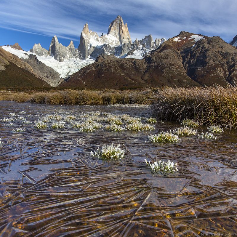 ёжики на льдуphoto preview