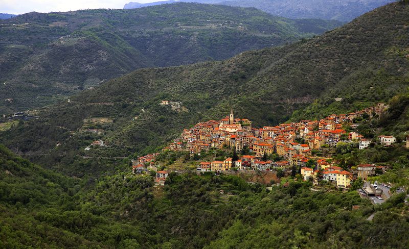 Априкале*photo preview