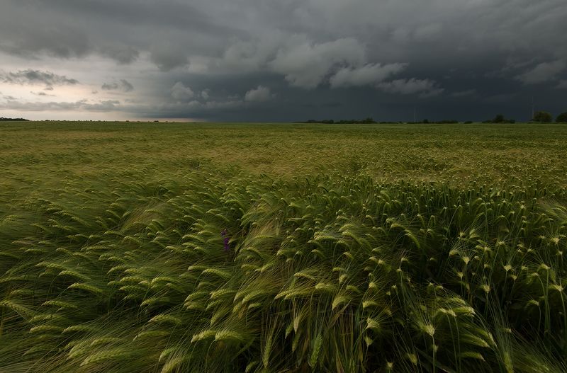 Перед грозойphoto preview