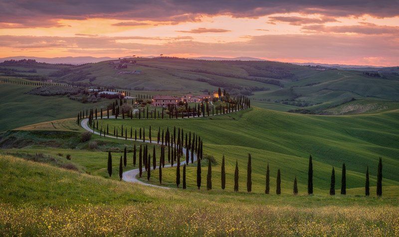 italy, tuscany, весна, италия, тоскана The way to home.photo preview