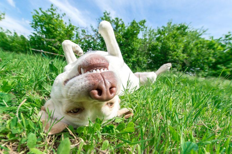 Релаксphoto preview