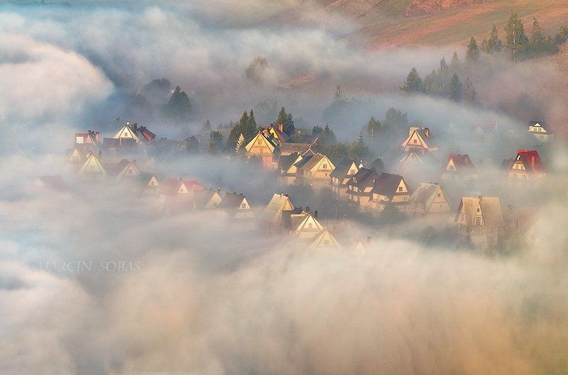 In misty wavesphoto preview