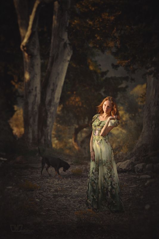 майорка, лес, собака, девушка, закат На закатеphoto preview