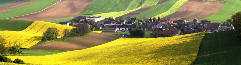 Игрушечный мирphoto preview