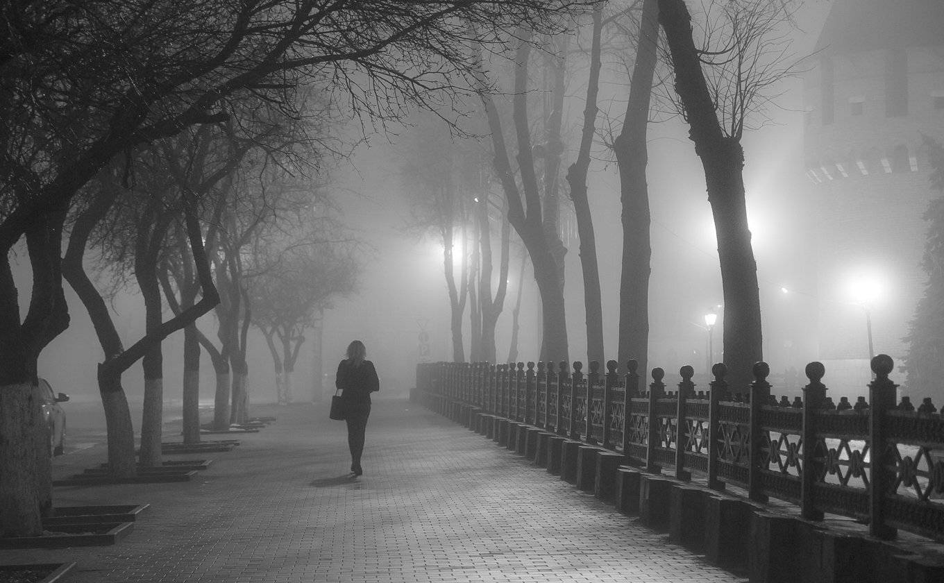 В тумане. Автор: Алексей Горохов , Алексей Горохов