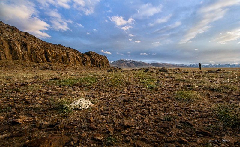 Монголия На краю Землиphoto preview