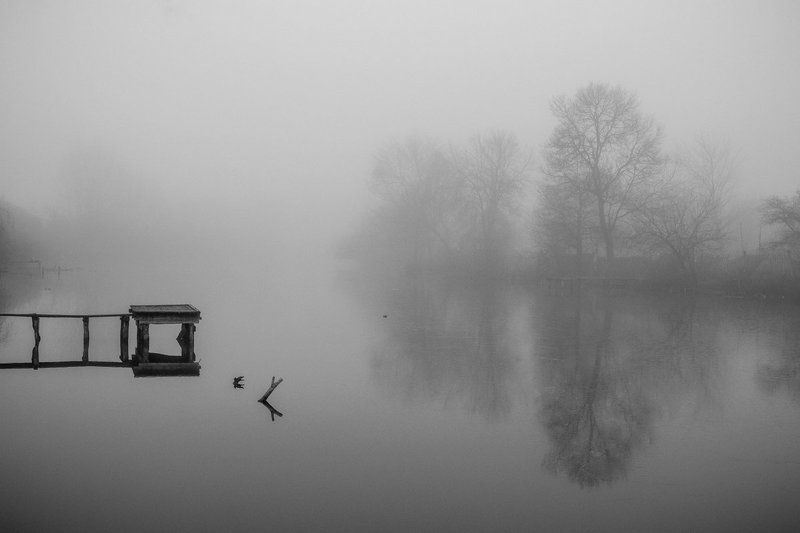 туман мглаphoto preview