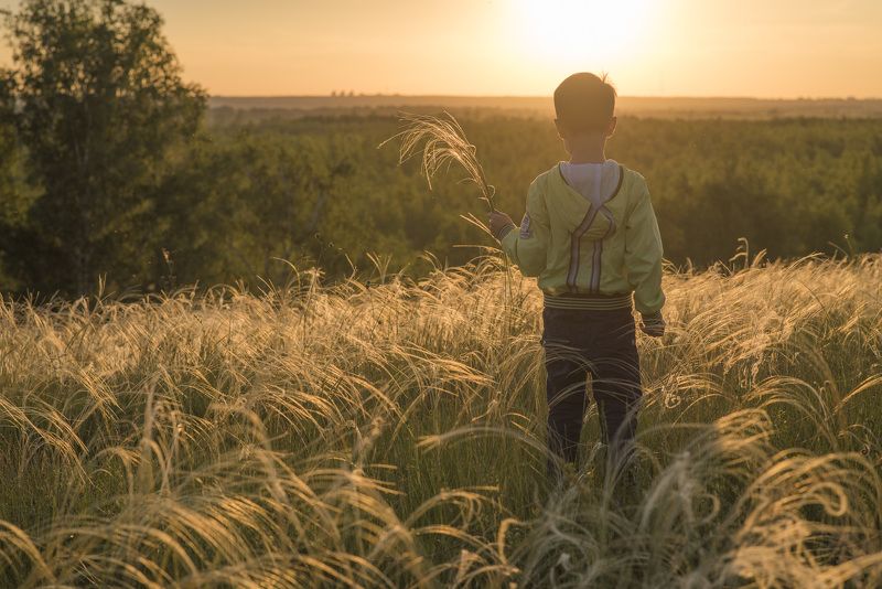 пейзаж, природа, закат, вечер, лето, поле Цветущий ковыльphoto preview