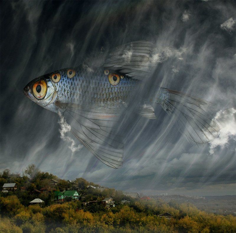 Рыбьи сны...photo preview