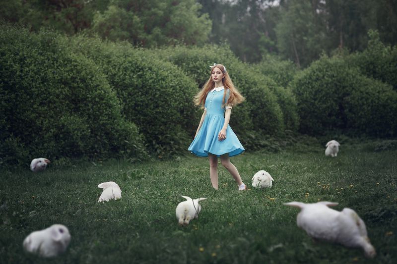 жанр Белый кроликphoto preview