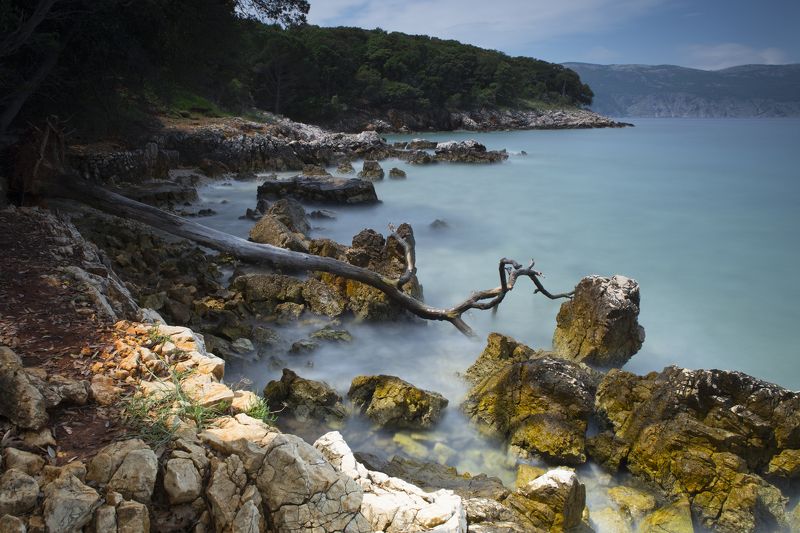 The branchphoto preview