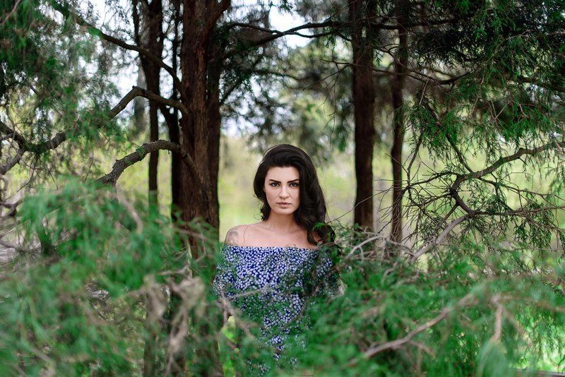 лес,сад,зелень,af photo preview