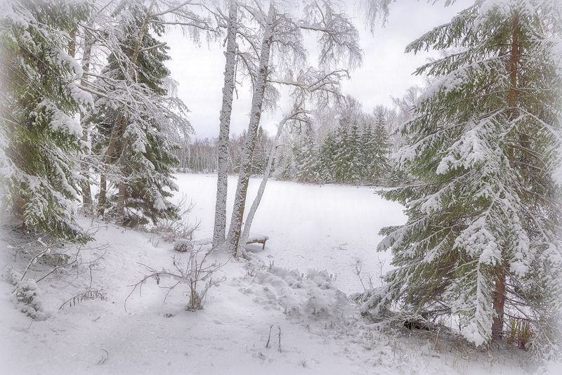 *** фото превью