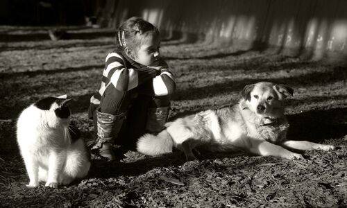 друзья не оставят