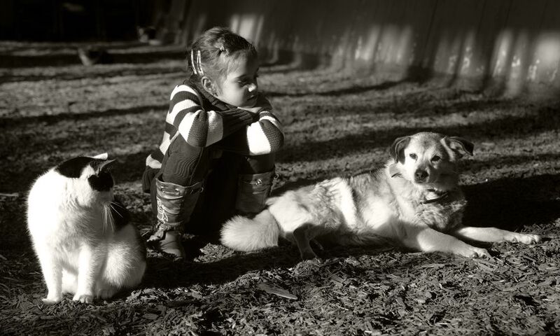 друзья не оставят фото превью