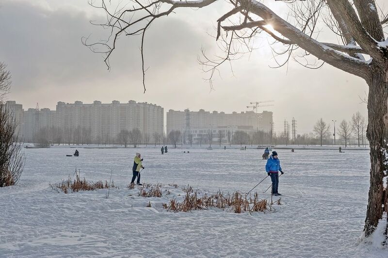 На замёрзшем прудуphoto preview
