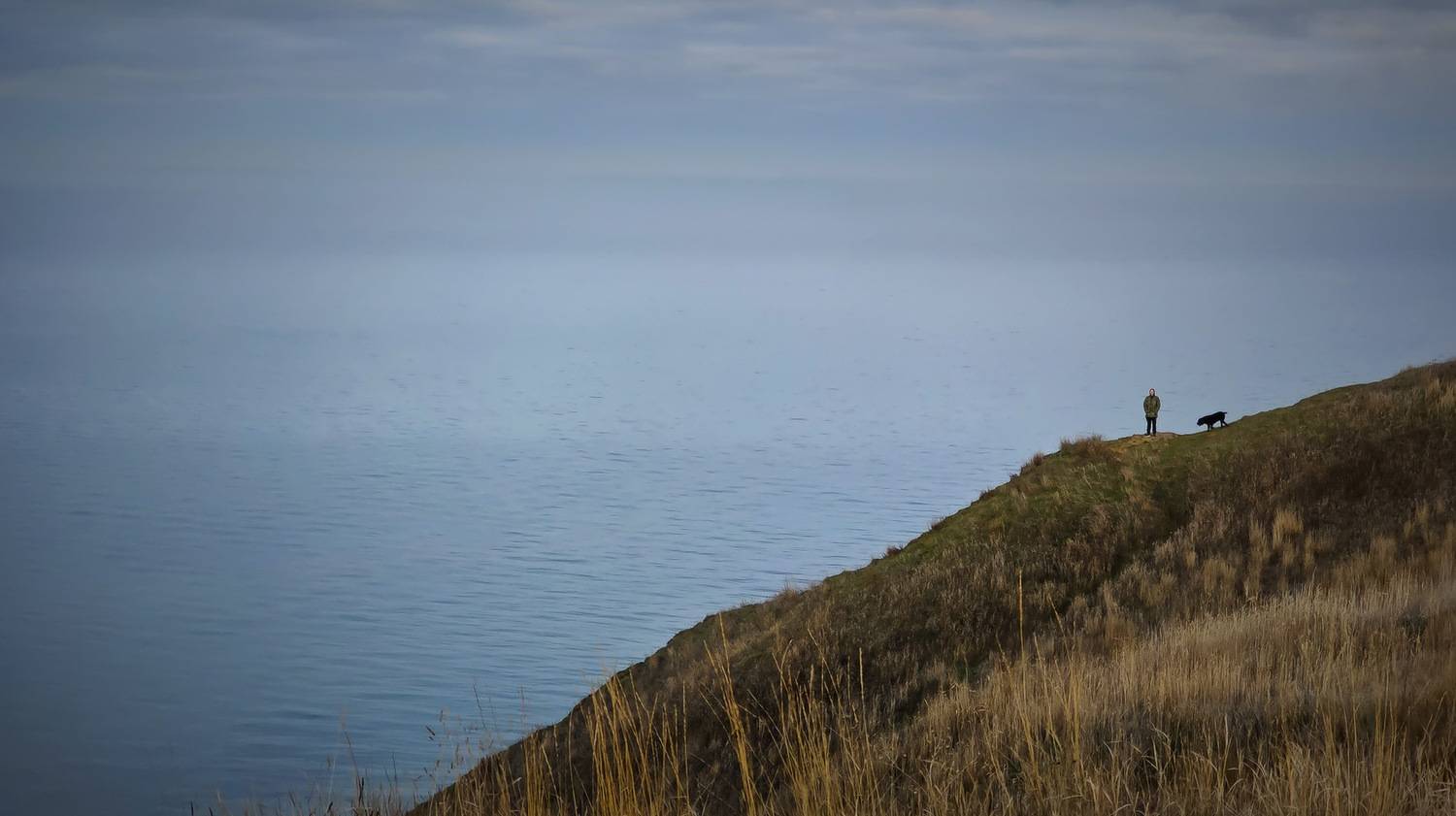 Прогулка. Автор: Пирог Борис , Пирог Борис