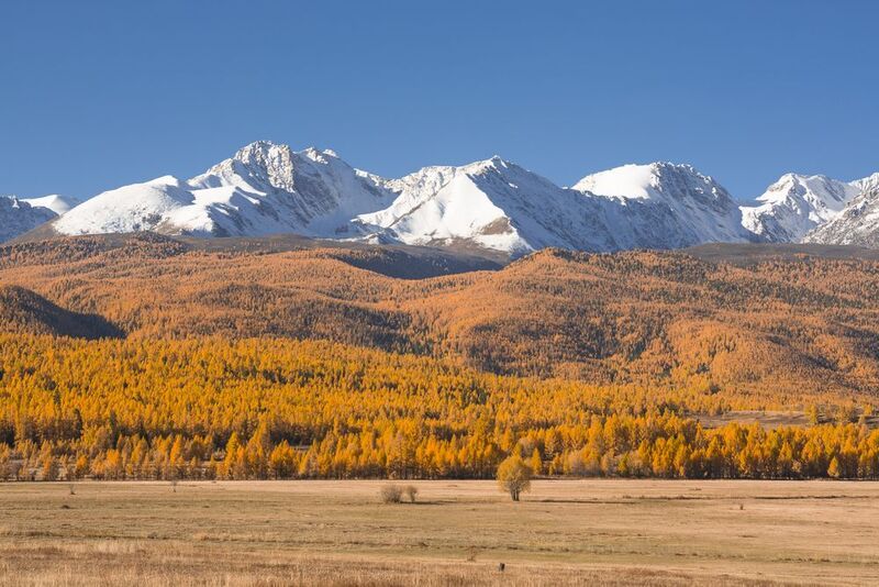 россия, горный алтай, счх, степь, осень, утро Безоблачное утроphoto preview