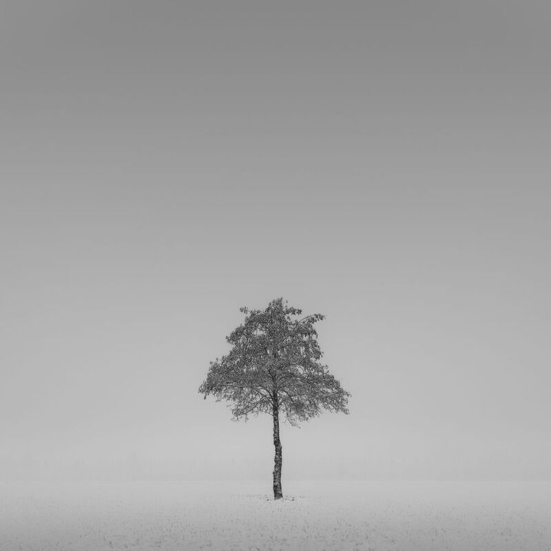 Blankness фото превью