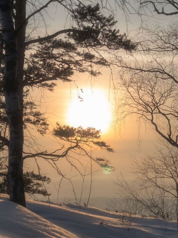 Зимний закатphoto preview