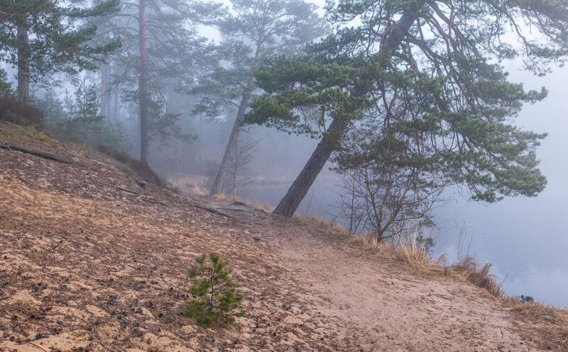 Туманное утроphoto preview