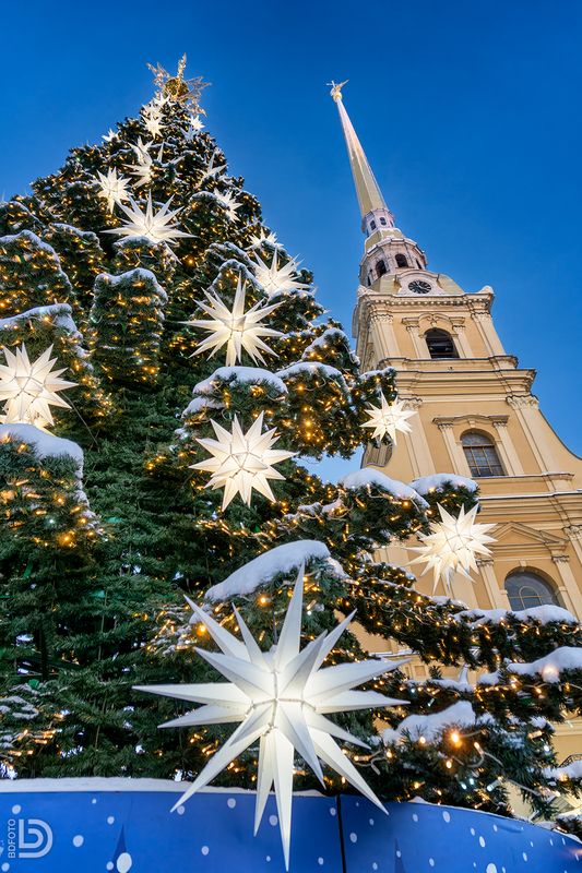 ёлка, собор, рождество Рождественская ёлкаphoto preview