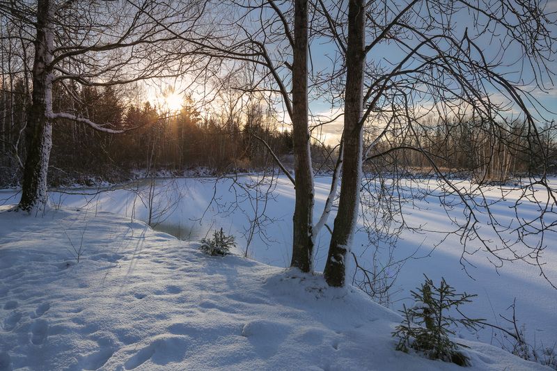 Московская обл. Первый снег...photo preview
