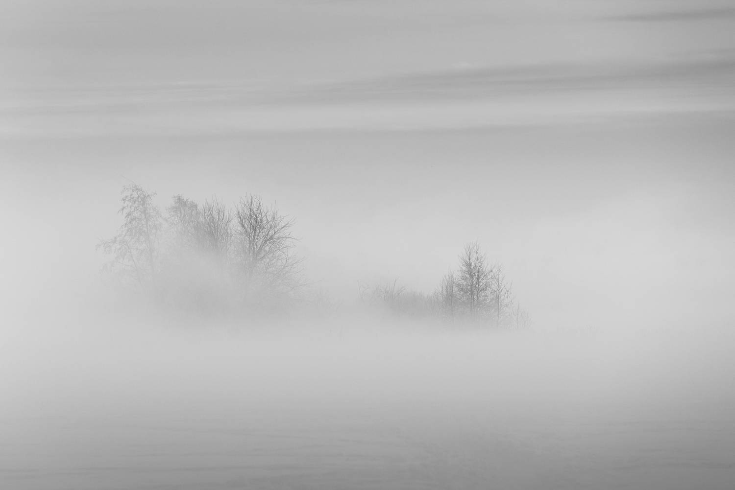 , Максим Вышарь