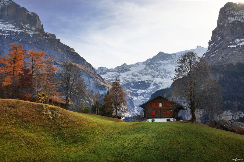swiss Домик с красными ставнями фото превью