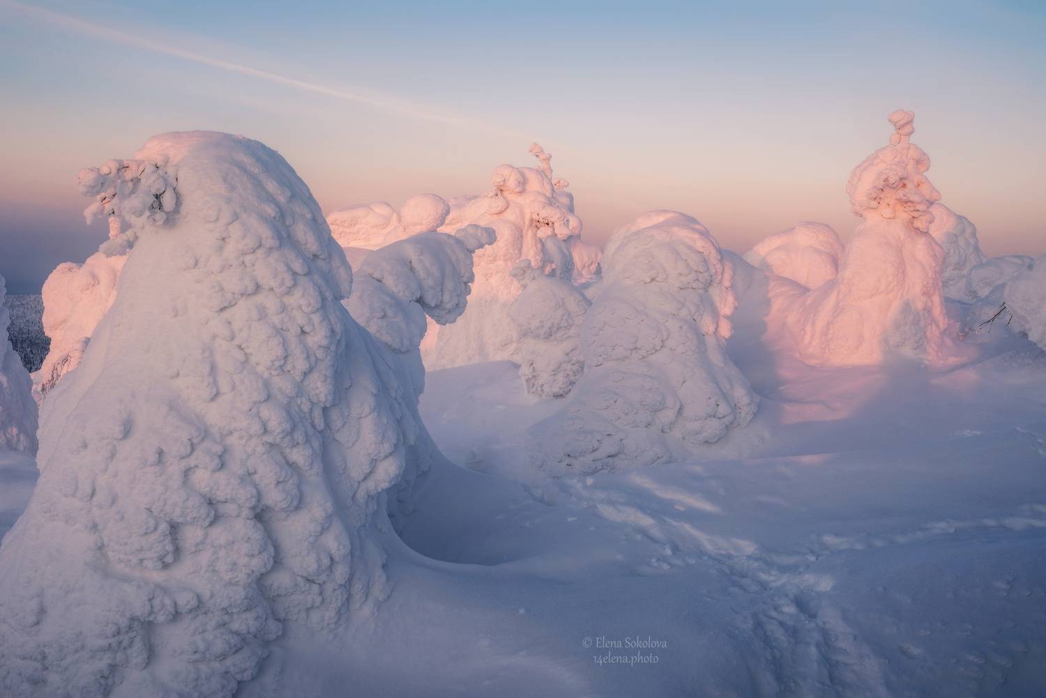 Зимний рассвет на Помяненном камне. Автор: Елена Соколова , Елена Соколова