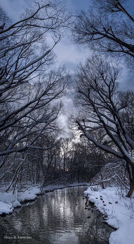 , Капустин Игорь