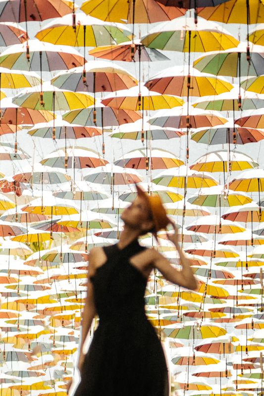 Зонтики фото превью