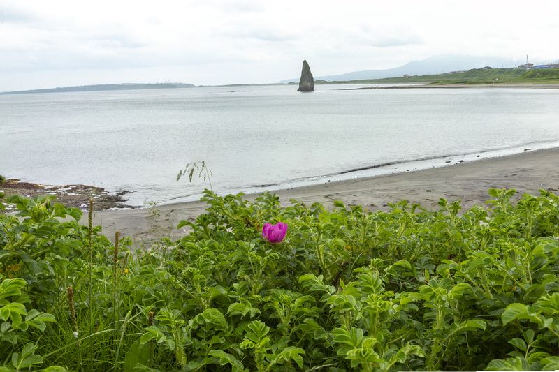 Чертов палецphoto preview