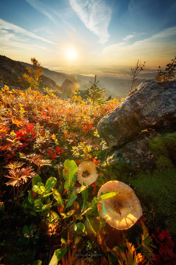 , Станислав Аристов