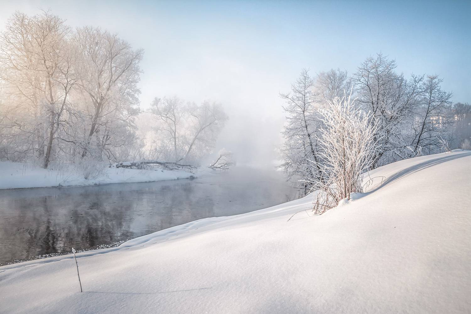 , Анатолий Зверев