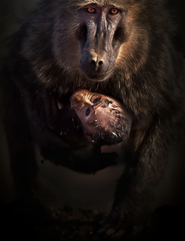 Сокровищеphoto preview