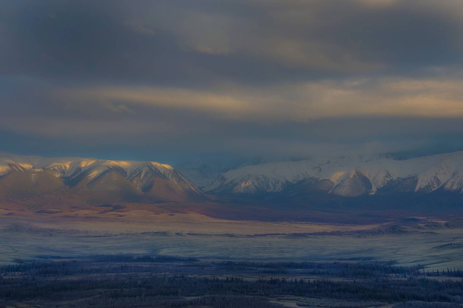 , Константин Буркин