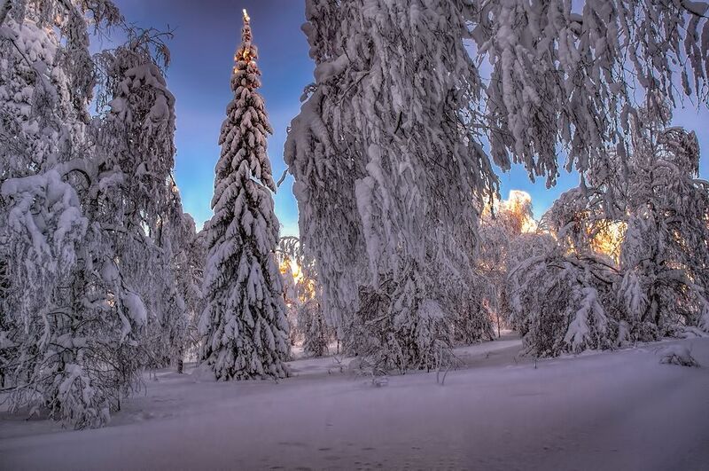 Зимняя сказкаphoto preview