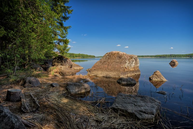 выборг. парк монрепо. весна.  фото превью
