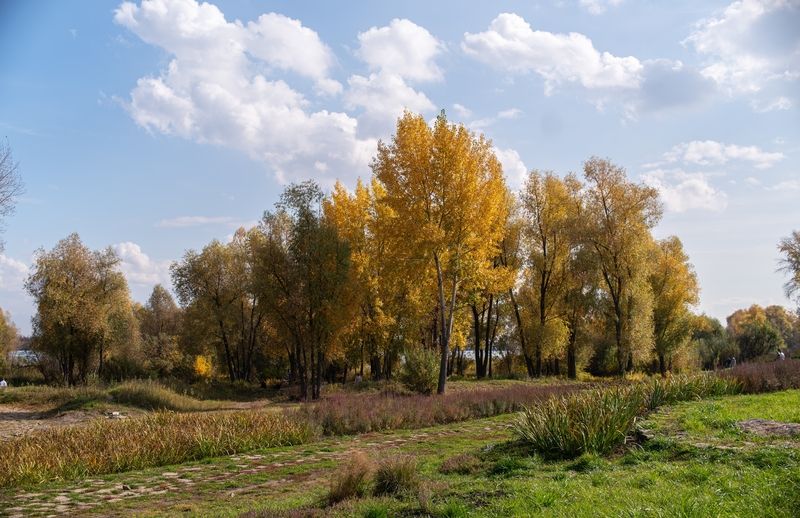 Осень фото превью