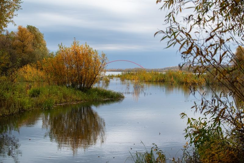 Осень фото превью